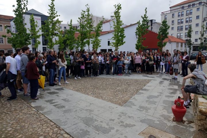 DSC04638 Custom Custom